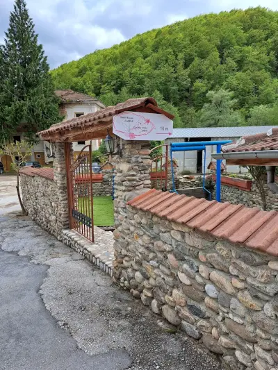 Солна Стая "Лара"