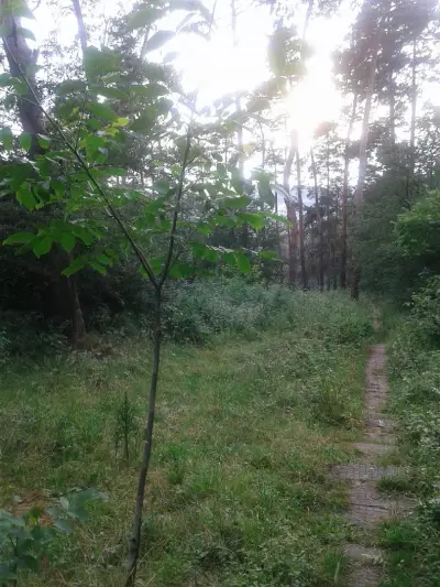Балнеохотел Роза