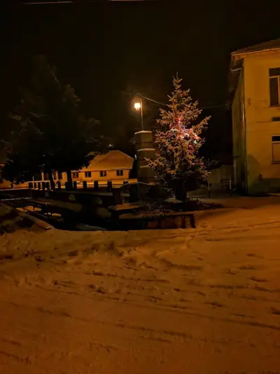 "Стоянови93"ЕООД