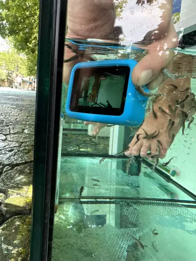 Fish Spa