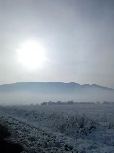 Бирария Марица