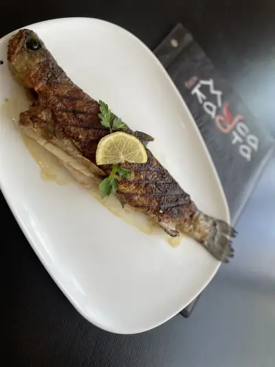 Баръ Мусаката