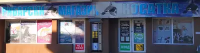 Косатка