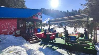 Bistro The Pines / Бистро Боровете