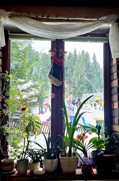Bistro The Pines / Бистро Боровете