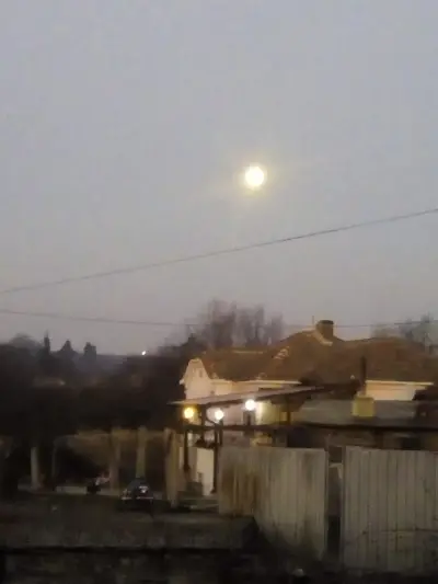 Ορχιδέα