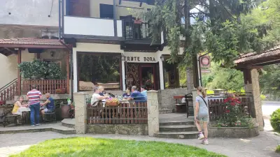 "Трите бора"