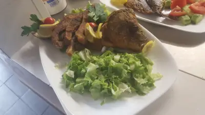 Оазис