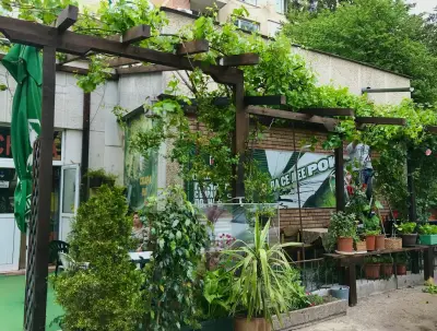 При Фирмата
