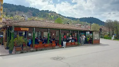 Старата Върба