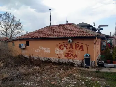 Ханче Делвите