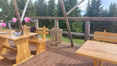 Ханче Делвите