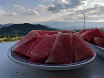 Кръчмата на Муса