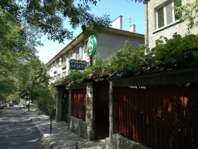 Лозата