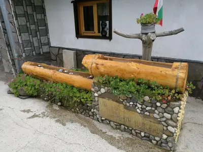 Студио Орфееви Скали