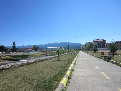 Смяна на масла