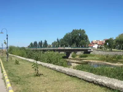 Смяна на масла