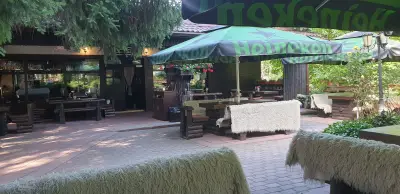 Мотиката