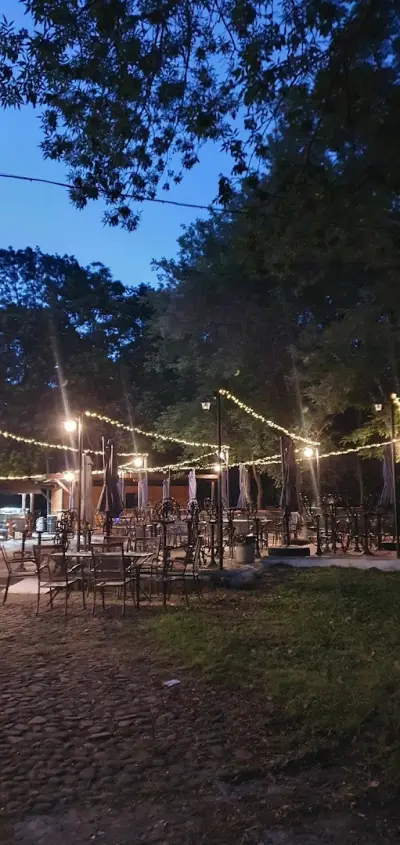 Cafe, Bar & Dinner ”Ален Мак”