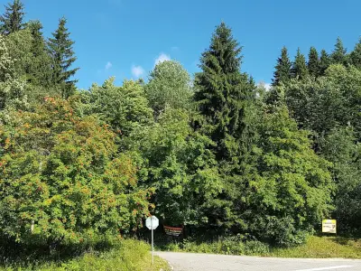 ФЛАНДРИЯ ХОЛИДЕЙС