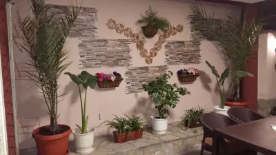 Бистро България