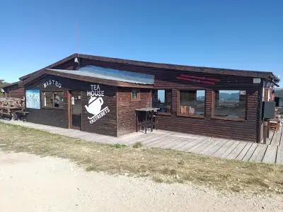 Чайна Ястребец