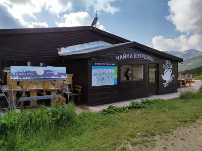 Чайна Ястребец