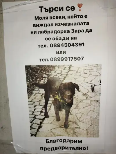 4 Сезона