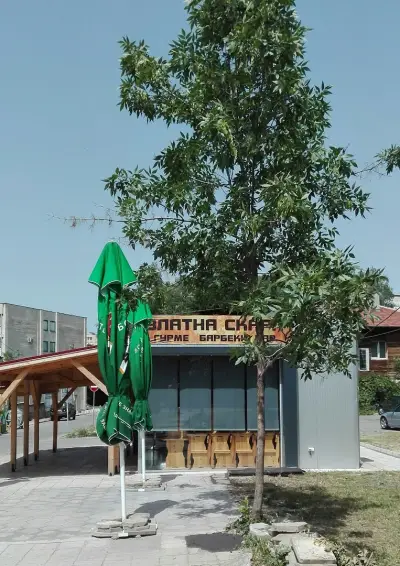 Ресторант "Златна скара"