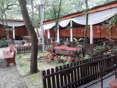 ХАНЧЕ ГОРСКИ КЪТ