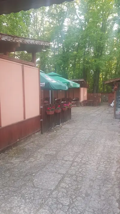 ХАНЧЕ ГОРСКИ КЪТ