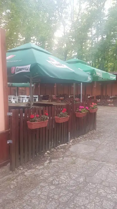 ХАНЧЕ ГОРСКИ КЪТ