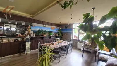 Retro Restaurant Borika