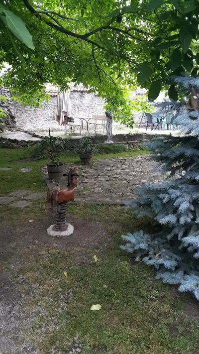 ЗЕЛЕНИЯТ КЪТ