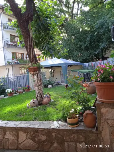 Пицария Ини Белоградчик