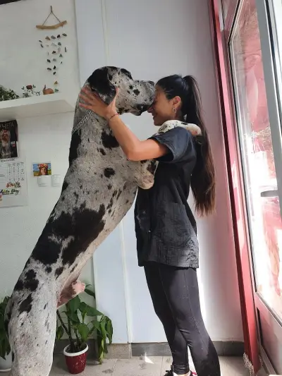 Груминг салон "White Dog" І Рязане на нокти І Почистване на уши и зъбен камък І Къпане І Сушене І Подстригване