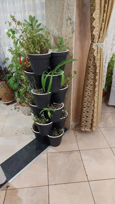 Ресторант Чайка Радомир