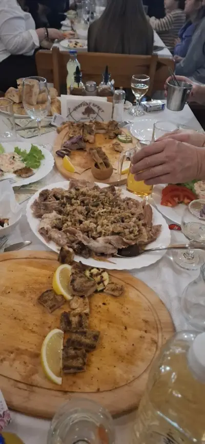 Старият бряст