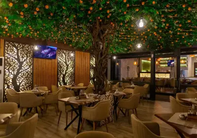 Contento Bar & Dinner
