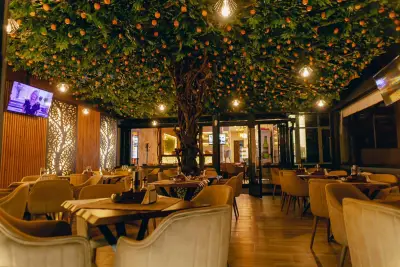 Contento Bar & Dinner