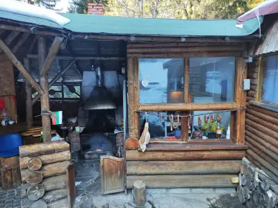 BBQ Restaurant Picnic