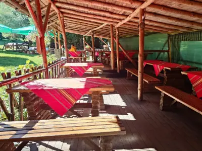 BBQ Restaurant Picnic