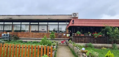 Паелера