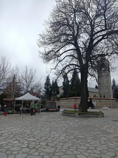 Bulgarian Ski Properties LTD BANSKO