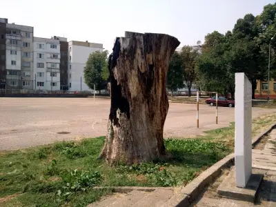 СУ "Христо Ботев" Козлодуй