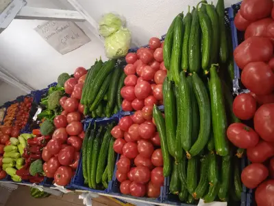 ГАЛМАРТ ПЛОД И ЗЕЛЕНЧУК