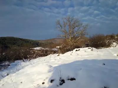 Пощенска станция 2035