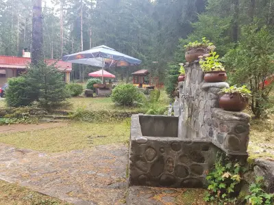 Вила "Шишарка" - Говедарци
