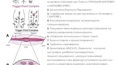Кинезитерапевт Коларов