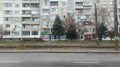 Съни фарм - Ана Аврамова